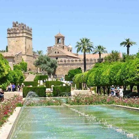 Apartamento Con Jardin Y Piscina En 科爾多瓦 外观 照片