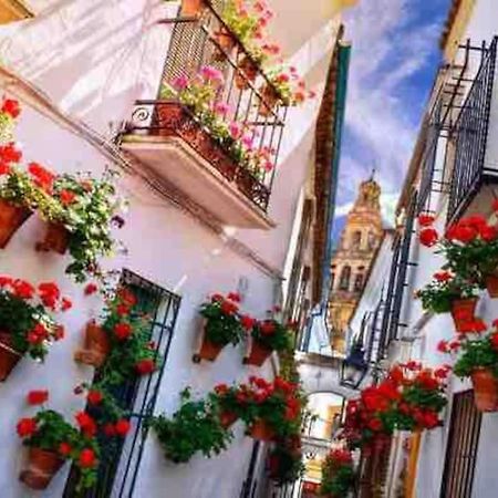 Apartamento Con Jardin Y Piscina En 科爾多瓦 外观 照片