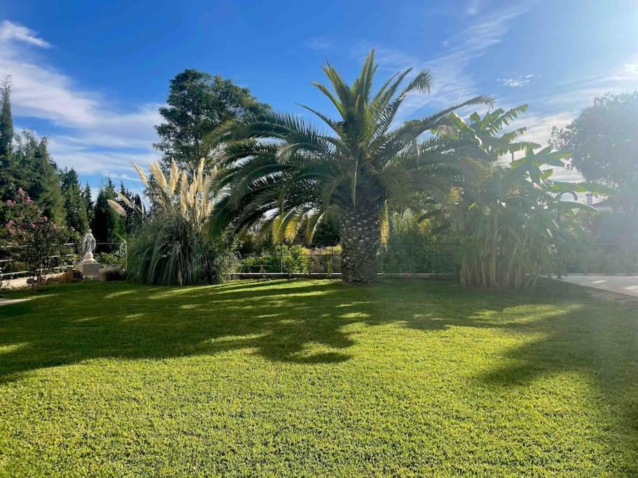 Apartamento Con Jardin Y Piscina En 科爾多瓦 外观 照片
